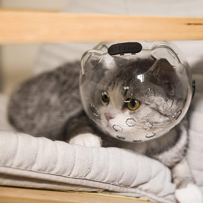 Cats Helmets Breathable Anti-Bite Cats from Biting and Chewing for Small Pets Grooming