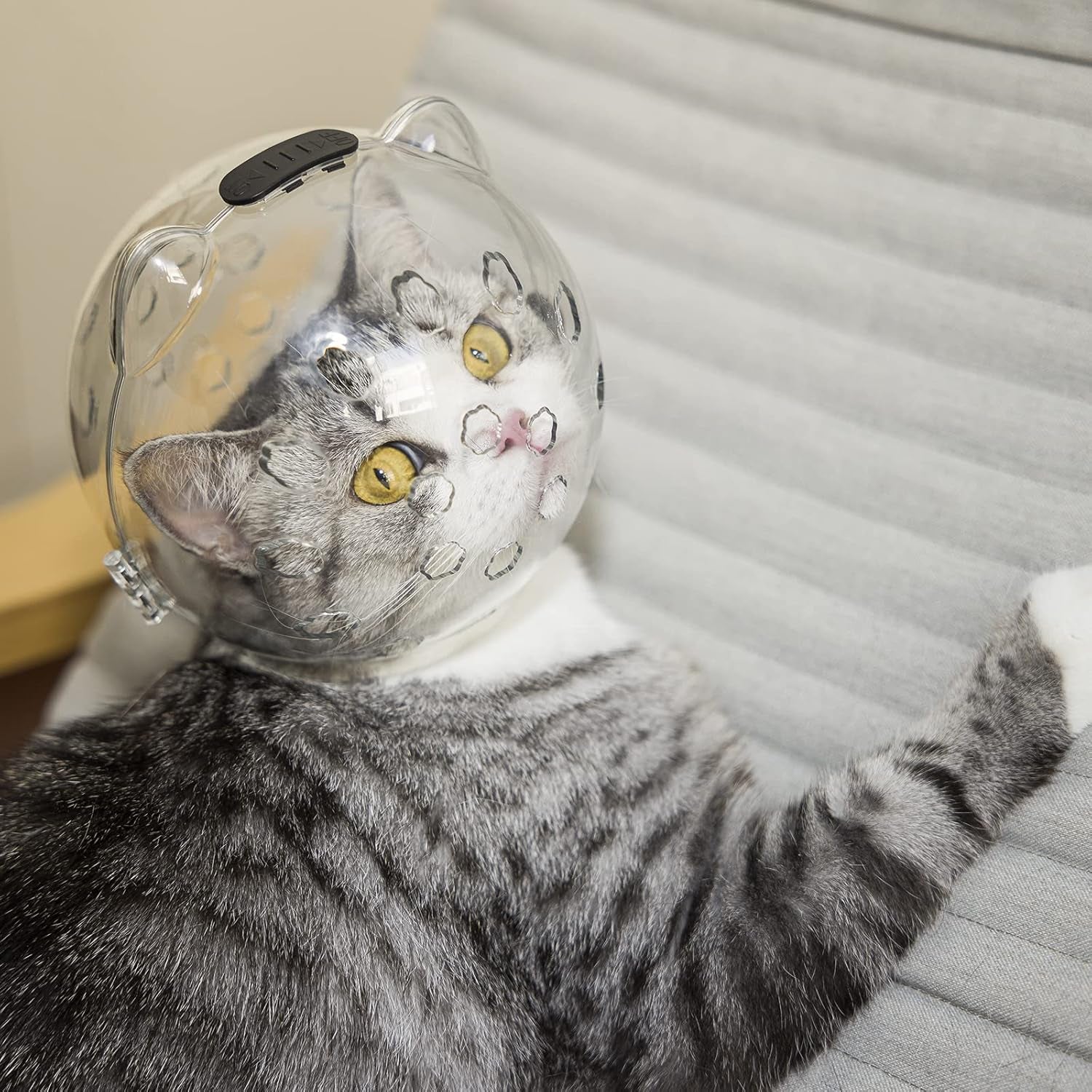 Cats Helmets Breathable Anti-Bite Cats from Biting and Chewing for Small Pets Grooming