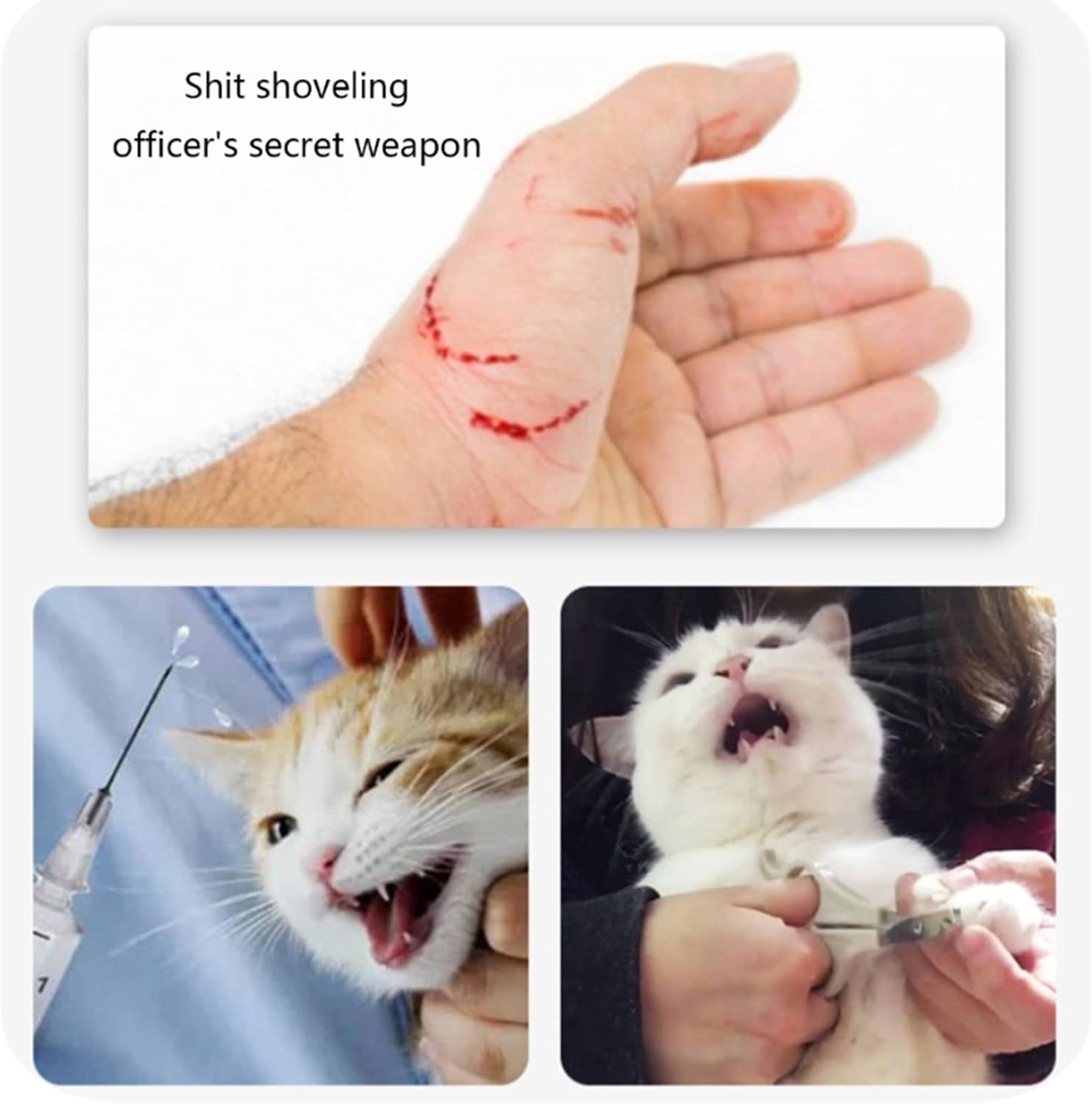 Cats Helmets Breathable Anti-Bite Cats from Biting and Chewing for Small Pets Grooming